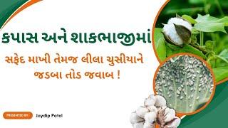 કપાસ અને શાકભાજી પાકમાં સફેદ માખી અને ચૂસીયાને જડબાતોડ જવાબ એટલે ......