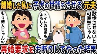 離婚した私に子犬の世話をさせる元夫→再婚要求をお断りしてやった結果【2ch修羅場スレ】【2ch スカッと】