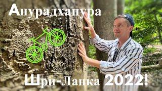 Шри-Ланка 2022! Большое путешествие. Анурадхапура-первая столица Шри- Ланки!