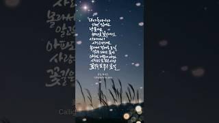 박서진 꽃길 (캘리그라피)