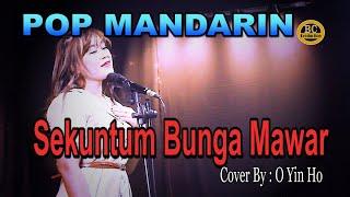 SEKUNTUM BUNGA MAWAR - Pop Mandarin - Cover : O Yin Ho