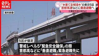 【東京東部5区】大規模水害時…首都高などに垂直避難へ  江東区や足立区など