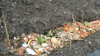 Organic Soil Amendments for Growing Ton Of Vegetables In Your Garden