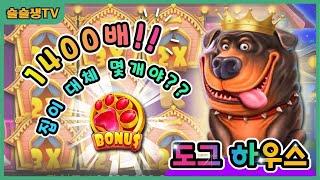 [슬롯] 프라그마틱 더 도그하우스 개집 SLOT 또 터졌다 1400배 개집폭탄 Pragmatic Play The Dog House 슬롯잭팟 슬롯구매 슬슬생