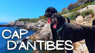 Walking at Cap d’Antibes (with dogs) | French Riviera Travel Guide