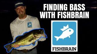 Finding Big Bass Using FISHBRAIN APP