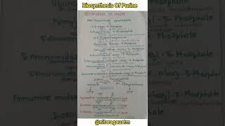 Biosynthesis of Purine #shorts #biochemistry #bpharmacy #trending  #purines #importantquestions