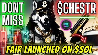 Chester: The Alpha Wolf MemeCoin Launch | Fair Launch on Solana Blockchain - $CHESTR