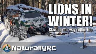 Ferocious Pack of RC Rock Crawlers Tough it Out In Wonderland of Snow