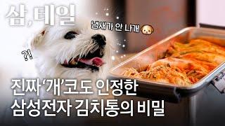 “실험만 100번 했어요” 김치 냄새 걱정 없다는 김치통의 등장 | 삼테일 EP.3