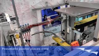 309 - CE-CEB - Automatic Case Erector and Bottom Sealer