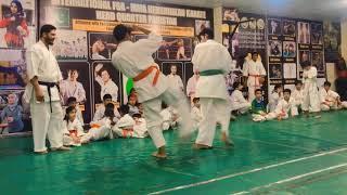 Show Fight | Kenshin Kan Karate | Fitness Hub