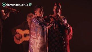 FLAMENCOMANIA TV - 7T 02 - Flamenco on Fire (Segunda Parte) - 16 Septiembre