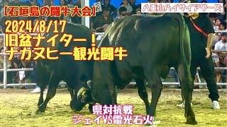 【石垣島の闘牛大会】2024/8/17 旧盆ナイター！ナカヌヒー観光闘牛大会　県対抗戦　ジェイVS電光石火