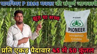 पायनियर 3396 मक्का की संपूर्ण जानकारी| Pioneer 3396 maize| Pioneer 3396| Hybrid corn p 3396