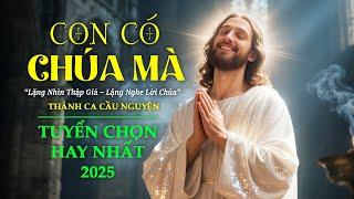 Thánh Ca Tuyển Chọn Hay Nhất - Con Có Chúa Mà - Nhạc Thánh Ca Chữa Lành Mọi Tâm Hồn