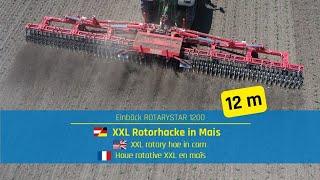 Rotorhacke in Mais | Rotary hoe in corn | Houe rotative en maïs ROTARYSTAR - Einböck Shortclip #48