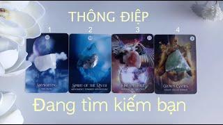 Nếu Bạn Thấy Thông Điệp Này Tức Nó Đang Tìm Bạn | Pick A Card | Trải Bài Chuyên Sâu