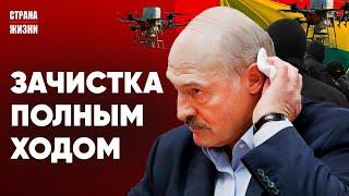 ЗАДЕРЖАНИЯ НА ГРАНИЦЕ. Предвыборная ОБЛАВА силовиков. ВСУ отправляет "Шахеды" в Беларусь