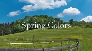 Spring Colors