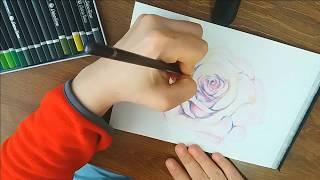 Rose Drawing with Colored Pencils - Pink Rose Illustration