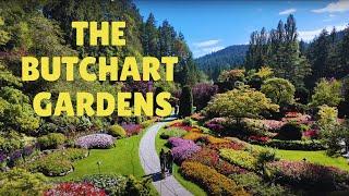 The Butchart Gardens in 2024 With Night Illuminations!