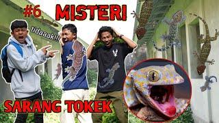 MISTERI PART 6 | Mikael Family