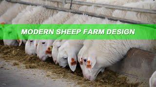 Design plan of China's modern sheep farm