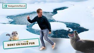 Wat is bont/faux fur? | Alles over faux fur & bont | Budgetstoffen