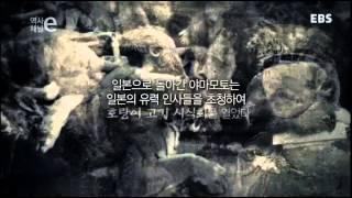 역사채널e - The history channel e_호랑이 군대, 정호기