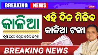 When farmer get Kalia yojana amount।।Kalia yojana installment update odisha।। #kaliayojana