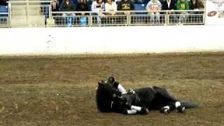 PA Horse expo 2010 Breed Demonstration  Friesian