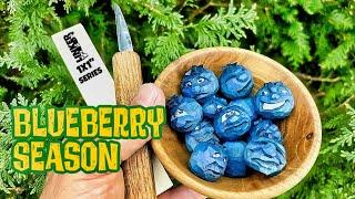 Simple Summer Whittle -Carve a Blueberry Character with Just a Knife (1x1 series)