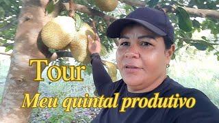 TOUR NO MEU QUINTAL CHEIO DE FRUTAS, MUITA FARTURA  #gratidão