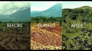conservation ecology, Restoration ecology