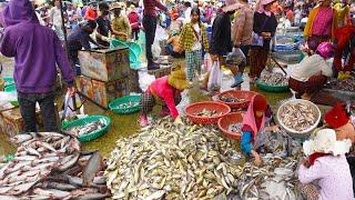 Ever Seen Fish & Seafood Distribution @ Kilo#9 ? Cambodian Market Distribution Site