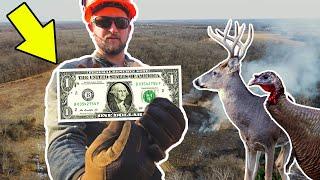 Building DEER and TURKEY Habitat on a BUDGET!!! (w/Land and Legacy!)