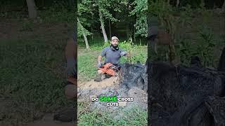 Epic Tree Stump Removal Watch Us Tackle Giant Ant Infested Stumps