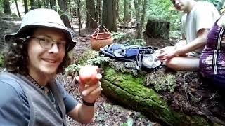 Hiking & Foraging With Nomi, Deanna & J.Vincent