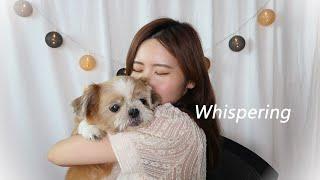 ASMR 몽실이 등장⭐️여러분 우리 수다 떨어요/Whispering Talking