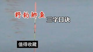 野钓鲫鱼，三字口诀，值得收藏