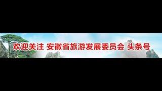 鳳陽：鳳畫的美麗傳說，你知道嗎？