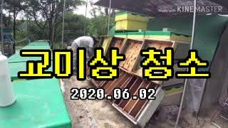 2020년 6월 2일 교미상 청소