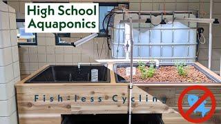 Fish-LESS Cycling and Aquaponics