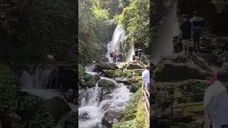 Waterfall at Rock garden #darjeeling #waterfall #rockgarden