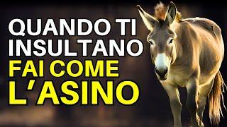 L' ASINO A CUI TIRAVANO I SASSI: Una storia di resilienza e ispirazione