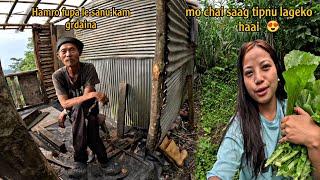 Fupa ko hardwork||organic saag Koko lai Maan parcha||Darjeeling Village life