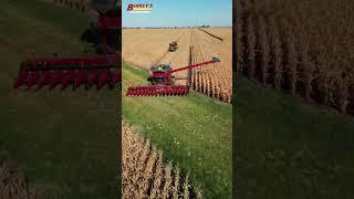 Introducing the CASE IH AF11 Combine | Birkey's Farm Store