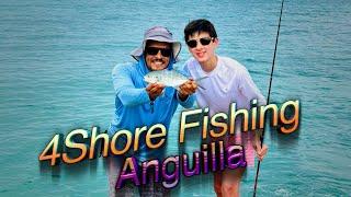 The2Woodies - ANGUILLA: 4Shore Fishing