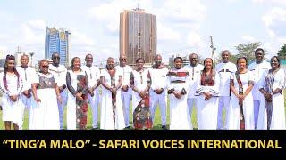 SAFARI VOICES INTERNATIONAL ||  TING'A MALO